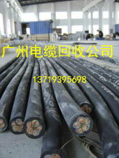 绿色广州，同盈与您共创循环未来